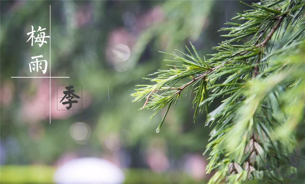 雨季到來，涂料施工需注意哪些問題